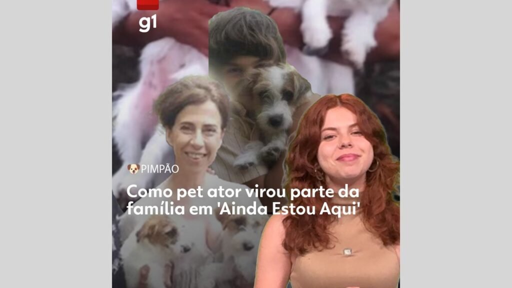 Cães de ‘Ainda estou aqui’ ganham prêmio pelo papel de Pimpão, o pet da família Paiva | Cinema
