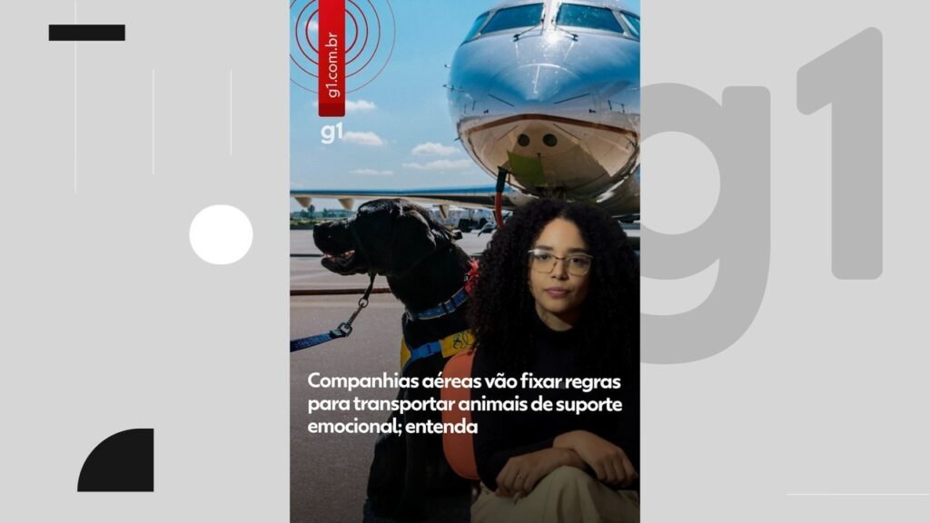 Voo do Rio para Lisboa É Cancelado Após Tap Recusar Embarcar Cão de Serviço Mesmo com Ordem Judicial | Rio de Janeiro