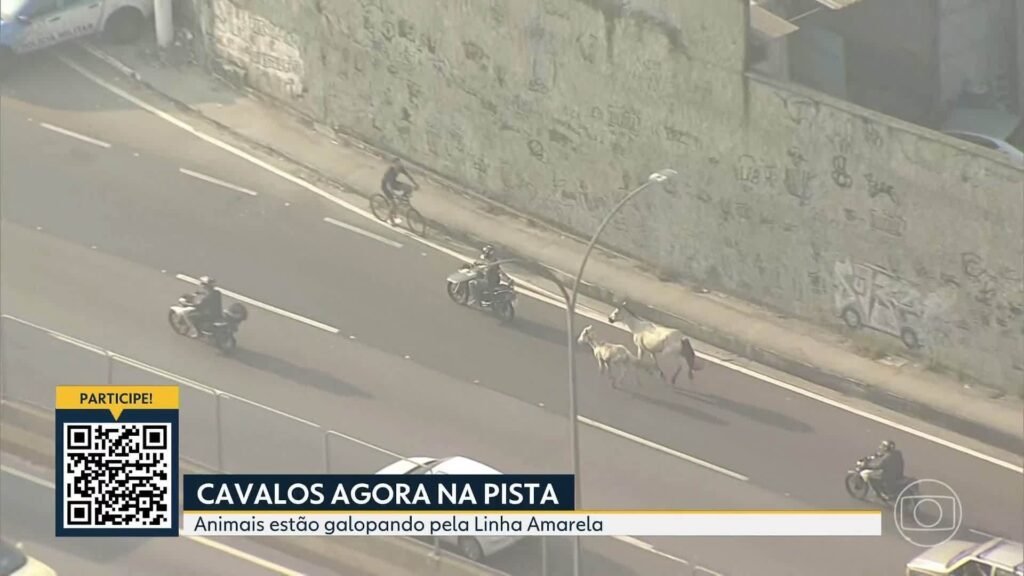 Vídeos: Bom Dia Rio de Sexta, 23 de Maio de 2025 Vídeos: Bom Dia Rio de Sexta, 23 de Maio de 2025