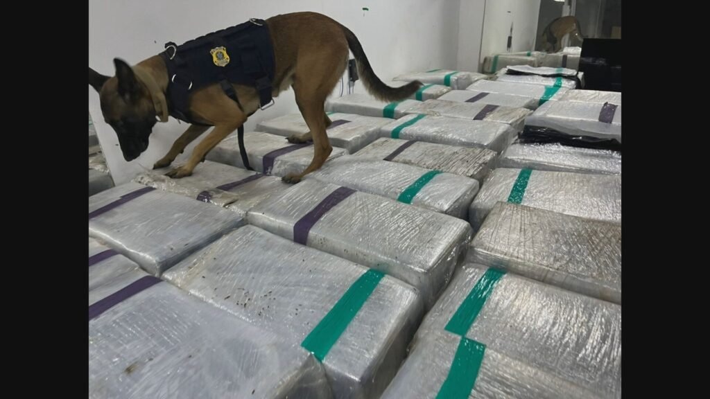Prf ACHA 3 TONELADAS DE MACONHA ESCONDIDAS EM FUNO FALSO DE CAMINHÃO FRIGORÍCO NA DUTRA | Rio de Janeiro