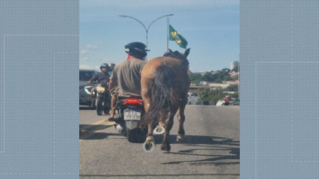 Homem Na Garupa de Moto É flagrado puxando Cavalo em Viaduto de Nova Iguaçu Homem Na Garupa de Moto É flagrado puxando Cavalo em Viaduto de Nova Iguaçu