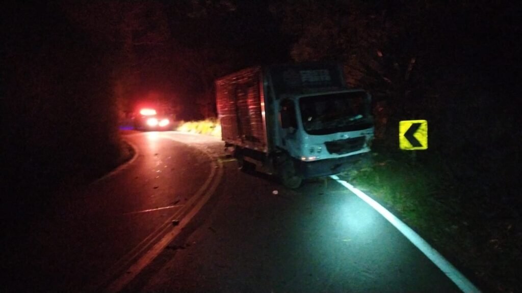 Caminhão Carregado com Hortaliças Perde o Freio e Causa Acidenthe Na Br-354, Em Resende | Sul do rio e costa verde