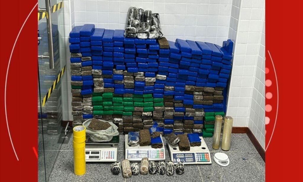 Mulher é Presa com mais de 300 comprimidos de maconha e explosivos em casa no centro de feira de santana Mulher é Presa com mais de 300 comprimidos de maconha e explosivos em casa no centro de feira de santana