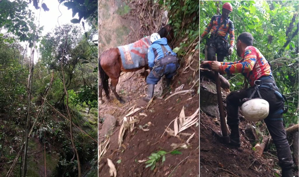 Equipe SE Mobiliza para Içar Cavalo de Ribanceira com 37 Metro de Altura em Petrópolis | Região serrana