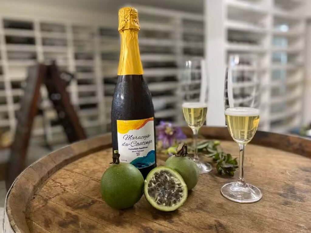 ProduÇões com Frutas da Caatatea Em Licores São Destaque Em Juazeiro | São João dos Bairros 2025