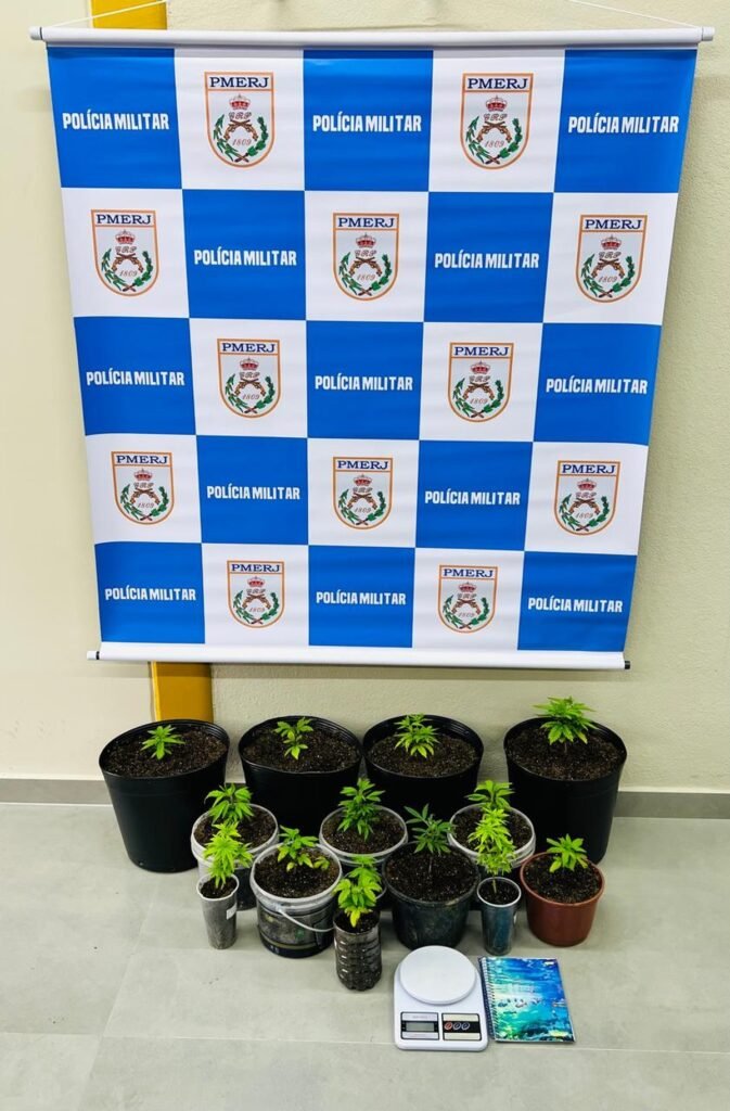 Homem é é PRESO POR Cultivar 14 Pés de Maconha Em Paraty Homem é é PRESO POR Cultivar 14 Pés de Maconha Em Paraty