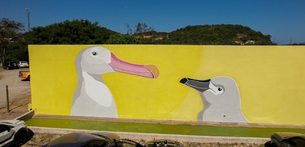 Arraiá do albatroz abre temporada de visitaça aos fins de semana com festa grátis em cabo frio-rj | Região dos Lagos