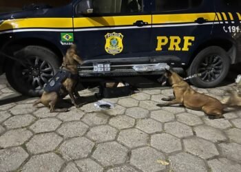 Jovem é PRESO COM Mais de 4 kg de Haxixe na Serra Das Araras, Em Piraí