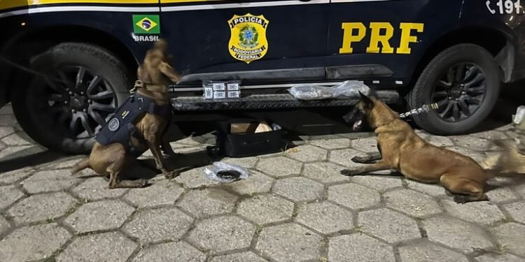 Jovem é PRESO COM Mais de 4 kg de Haxixe na Serra Das Araras, Em Piraí