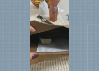 Mulher Diz Que Recebeu Pedras no Lugar de Pizza: ‘Descaso com o cliente’