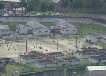 Novos Produtos Liberados nos Presín.