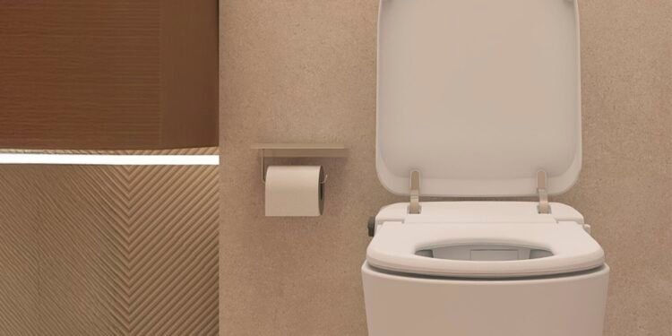 Escolhendo o Modelo Ideal para Seu Banheiro