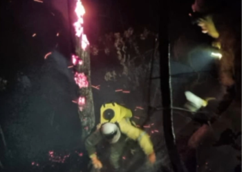 Árvores Virando Brasa: Combatentes Enfrentam auumento das queimadas nas matas de Nova Friburgo; Foram 110 Focos em 2025