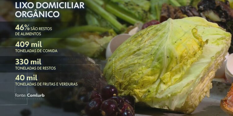 Rio desesperdiçou mais de 400 mil Toneladas de alimentos em 2024; Zona sul e tijuca lidera