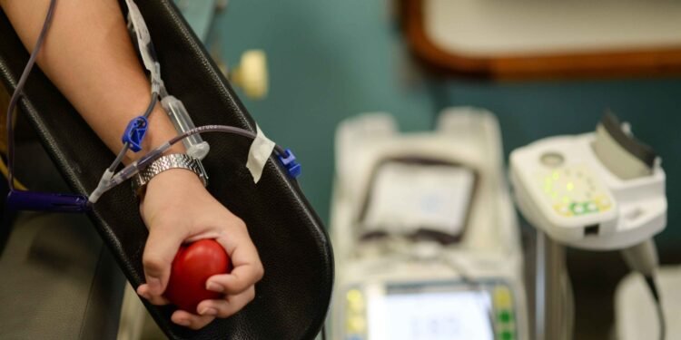 Hemonúcleo de Barra Mansa emite alerta de Baixo Estoque de Sangue; Saiba Como Doar Hemonúcleo de Barra Mansa emite alerta de Baixo Estoque de Sangue; Saiba Como Doar