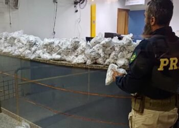 PRF Aprende, Mais de 100 kg de Maconha Em Veíco de Aluguel em Casimiro de Abreu