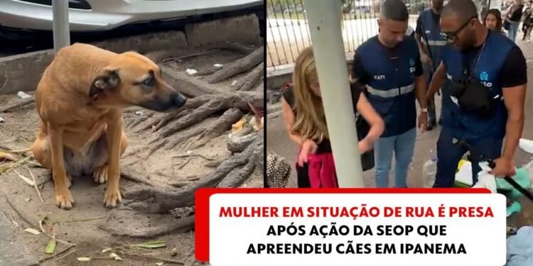 Cão Perdido de Mulher em Siteaça de Rua que Foi Presa em Ipanema é Encontrado