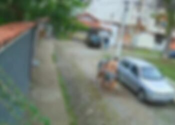 Vídeo: pitbull é morto a facadas após atacar Cachorro não rj