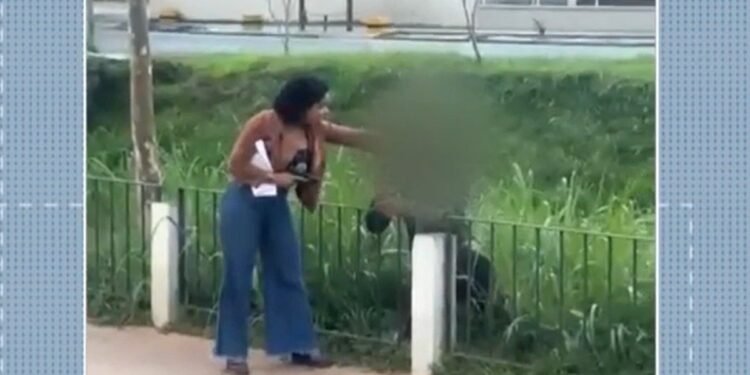 De Salto Alto, Recaptura Política Adolescente Que Fugiu de Escolta Em Friburgo