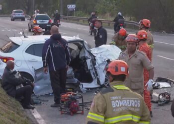 Caminhão invade Contramão da Avenida Brasil e Destrói Carro