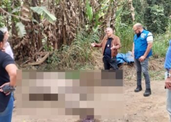 Polícia Identifica Suspeitos de Abandonar Cavalo com Patas Amaradas em Piraí