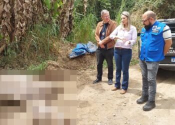 Cavalo é Encontrado Morto Com como Patas Amaradas no RJ