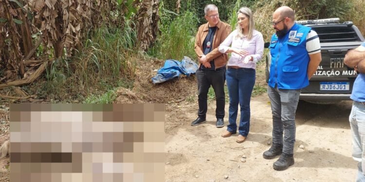 Cavalo é Encontrado Morto Com como Patas Amaradas no RJ Cavalo é Encontrado Morto Com como Patas Amaradas no RJ