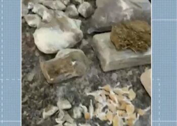 Polícia Civil Prend Suspeito e Aprende Drogas em Santo Antônio de Pádua