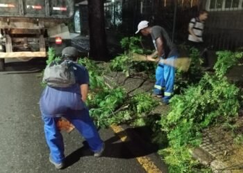 Chuva Causa Alagamentos e Derruba Árvore em Volta Redonda