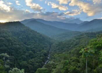 Parque Nacional Do Itatiaia Promove Corrida Inclusiva Para PCDs