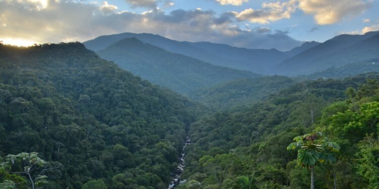 Parque Nacional Do Itatiaia Promove Corrida Inclusiva Para PCDs