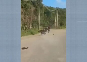 VÍDEO: Perseguição de Moto Pela Contramão na Br-101 Termina em Acidente e Prisão em Caxias, sem RJ