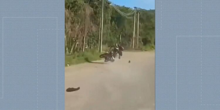 VÍDEO: Perseguição de Moto Pela Contramão na Br-101 Termina em Acidente e Prisão em Caxias, sem RJ