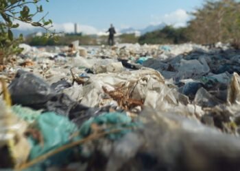 Baía de Guanabara Ainda Em Perigo: LIXO, ESGOTO E O BARCOS MAIS AMABORONADOS AMAÇAM VIDA MARINHA E NAVEGAÇÃO