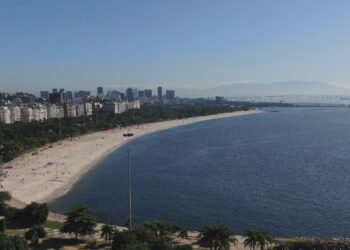 Mergulho na Baía de Guanabara Registra Volta da Vida Marinha Nas Praias Do Flame Mergulho na Baía de Guanabara Registra Volta da Vida Marinha Nas Praias Do Flame