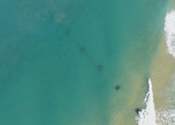 Emissário de ipanema faz 50 anos