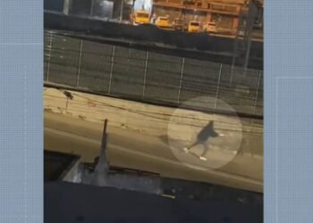 Vídeo Mostra Homem Encapuzado Atirando Contra Torcedores do Vasco; Um Homem Morreu