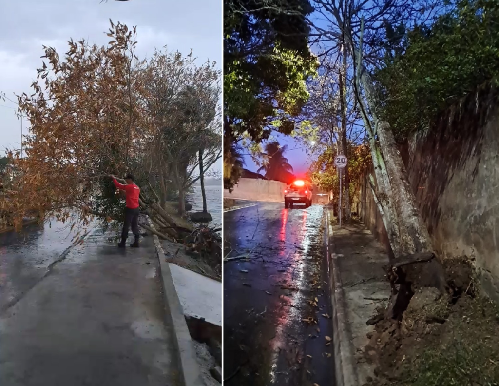 Saquarema Registra Quedas de Árvore Durante Chuva e Ventania