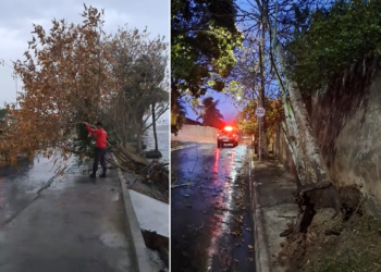 Saquarema Registra Quedas de Árvore Durante Chuva e Ventania