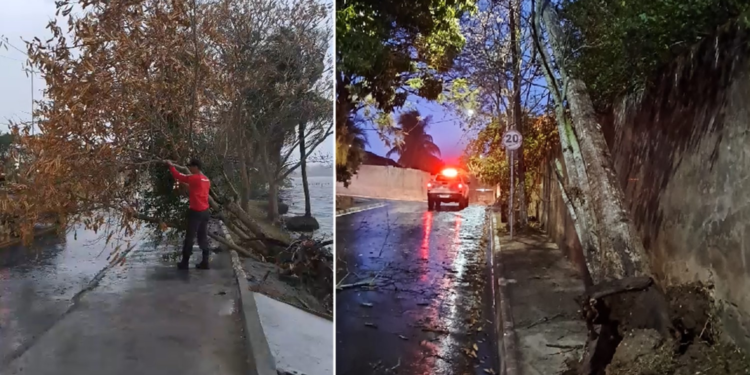 Saquarema Registra Quedas de Árvore Durante Chuva e Ventania Saquarema Registra Quedas de Árvore Durante Chuva e Ventania