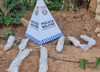 Drogas Avaliadas em Mais de R $ 5 Mil São Apreendidas em Paraíba do Sul