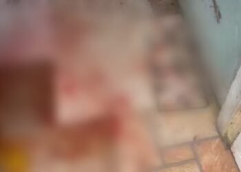 Homem é é preso suspeito de Tndar Matar Amigo Com Facadas e Tesouadas em Piraí