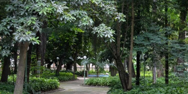 ONDA DE CALOR: Confira OpÇões de Lazer Gratuitas No Sul do Rio e Costa Verde