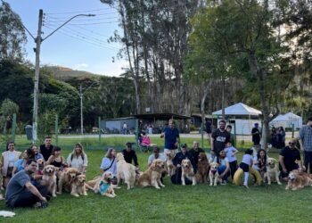 “Cãominhada” Leva tutores e animais de estimação para Trilhas No Vale da Lua, Em Petrópolis