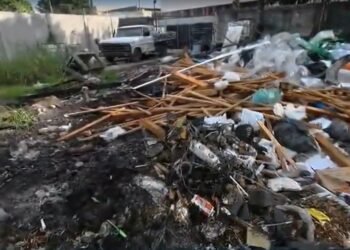 Polícia prenda 5 em operação