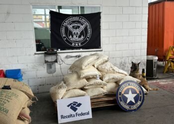 PF Encontra 500 kg de cocaína Escondidos em Carga de Café No Porto do Rio