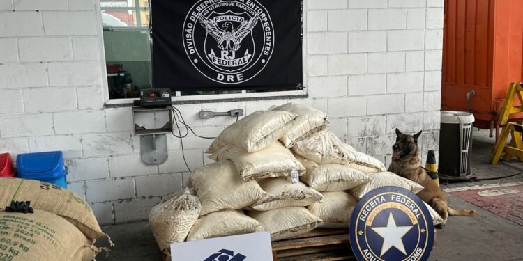 PF Encontra 500 kg de cocaína Escondidos em Carga de Café No Porto do Rio