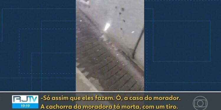 Tiros em casa, falta de transporte, muito medo: relatos dos cidadãos afetados pela operação no Rio Tiros em casa, falta de transporte, muito medo: relatos dos cidadãos afetados pela operação no Rio