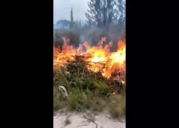 Extensa área de vegetação pega fogo em Araruama medo e moradores