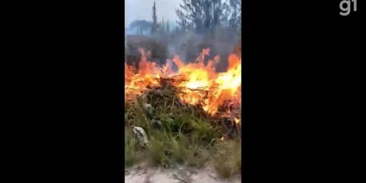 Extensa área de vegetação pega fogo em Araruama medo e moradores Extensa área de vegetação pega fogo em Araruama medo e moradores